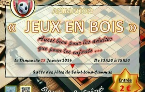 Journée :  Jeux en bois organisé par l' EJLSS (Salle des Fêtes de St Loup-Cammas)