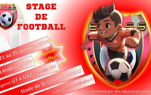 Stage de Foot EJLSS catégorie de U7 à U12 pour les vacances de Toussaint 2024